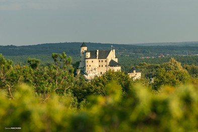 Noclegi Mirów 1A